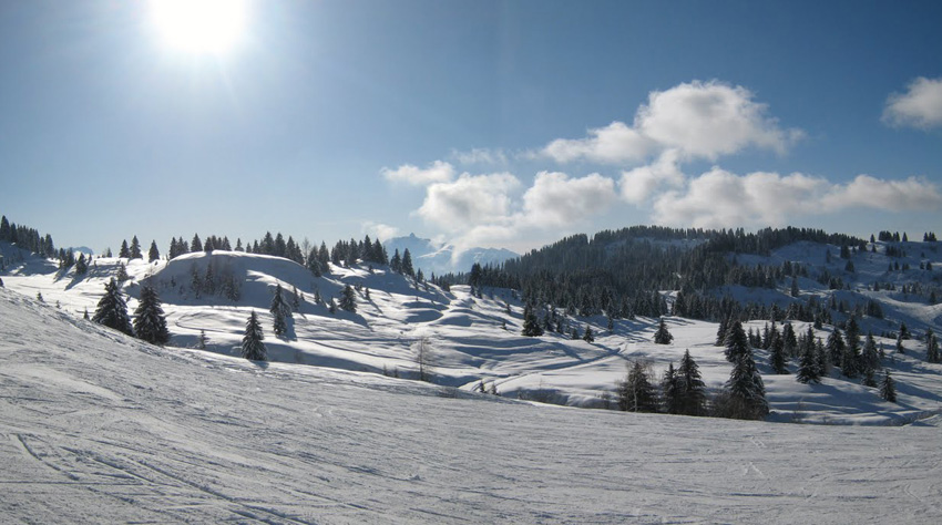 Winter Skiing