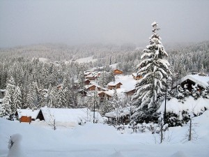 First view on a snowy morning